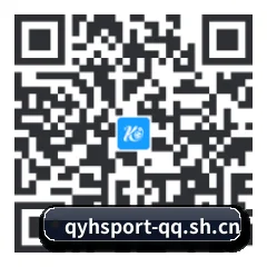 iPhone 专版 二维码